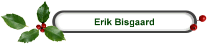 Erik Bisgaard