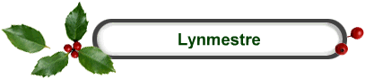 Lynmestre