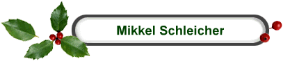 Mikkel Schleicher