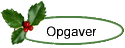 Opgaver