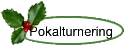 Pokalturnering